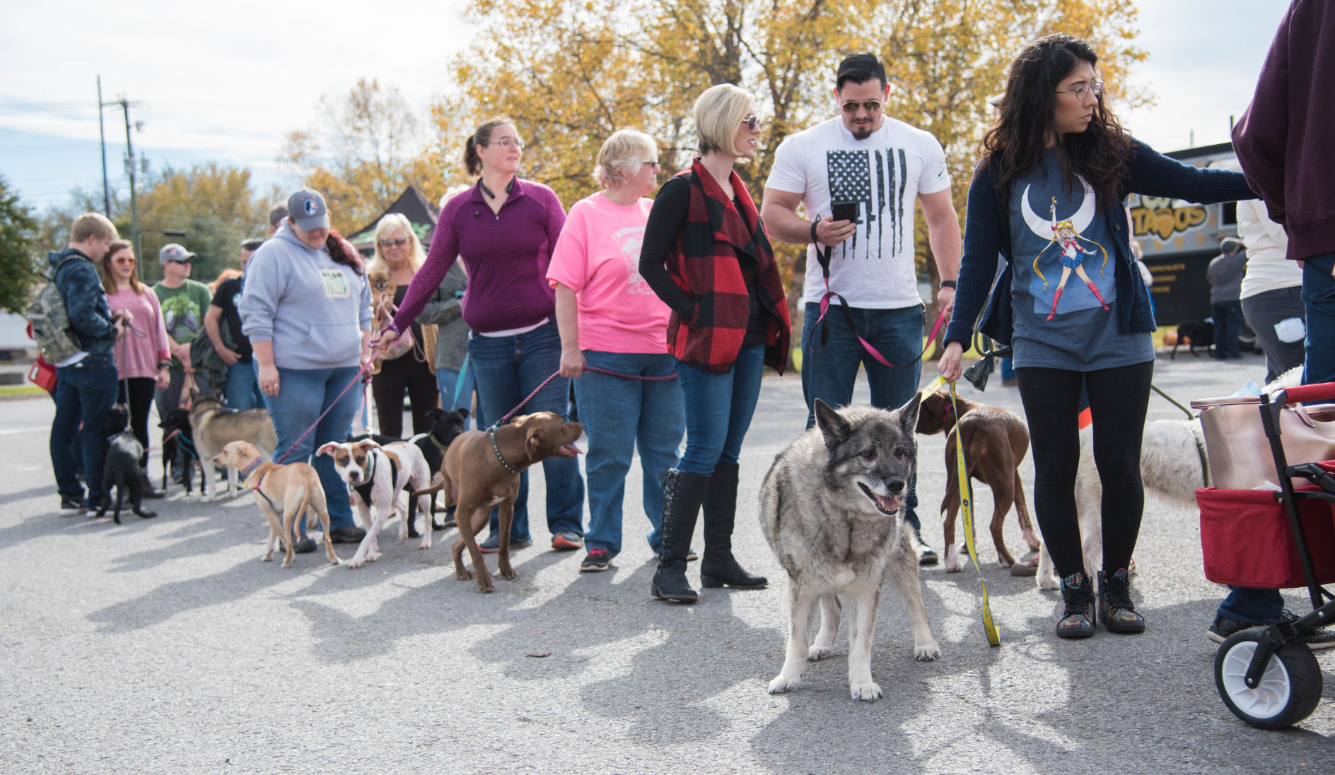 Furry Fall Festival01